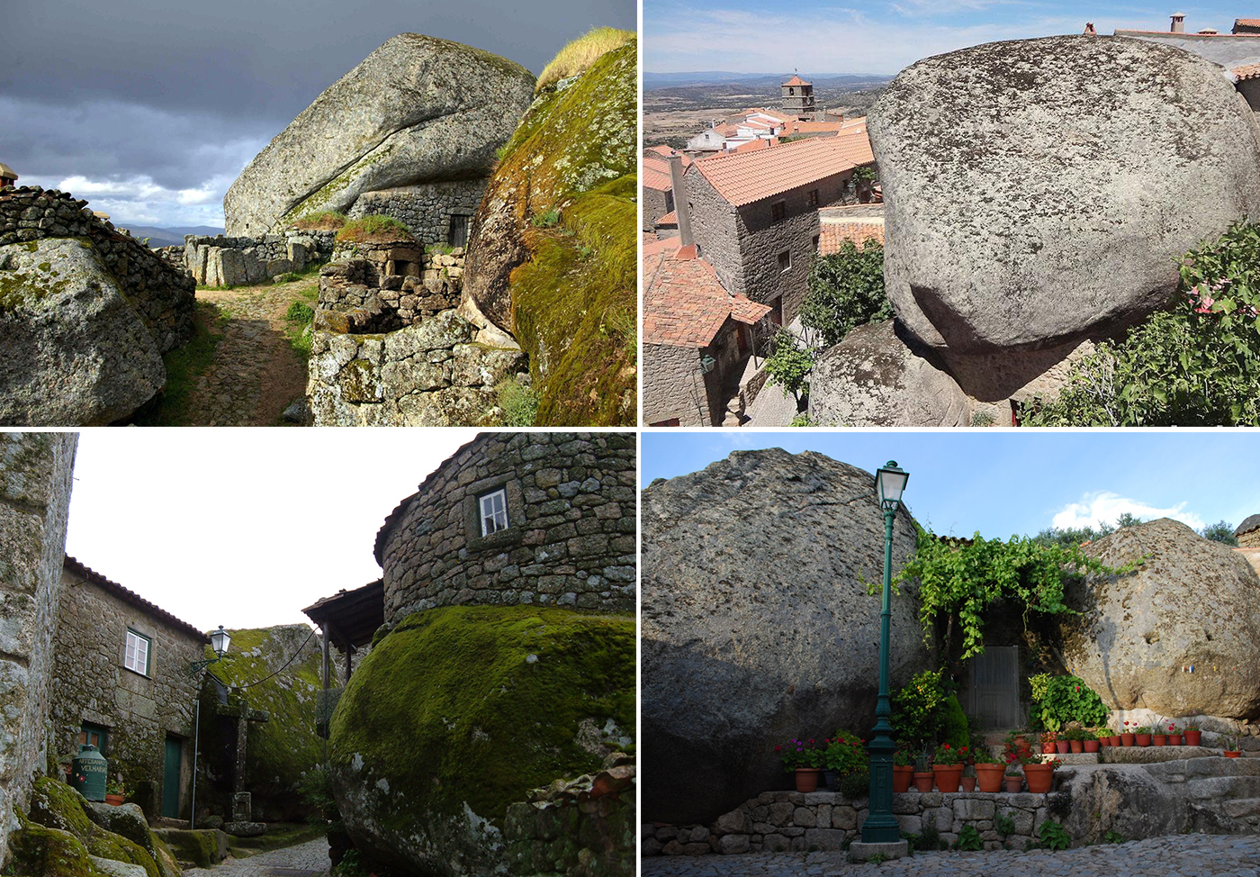 monsanto-portogallo-3