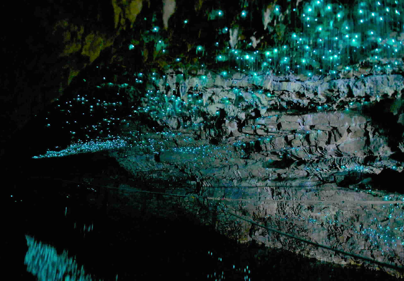 MyBestPlace Glowworm Caves Le Grotte Illuminate Da Un Cielo Stellato   Waitomo Glowworm Caves 1 