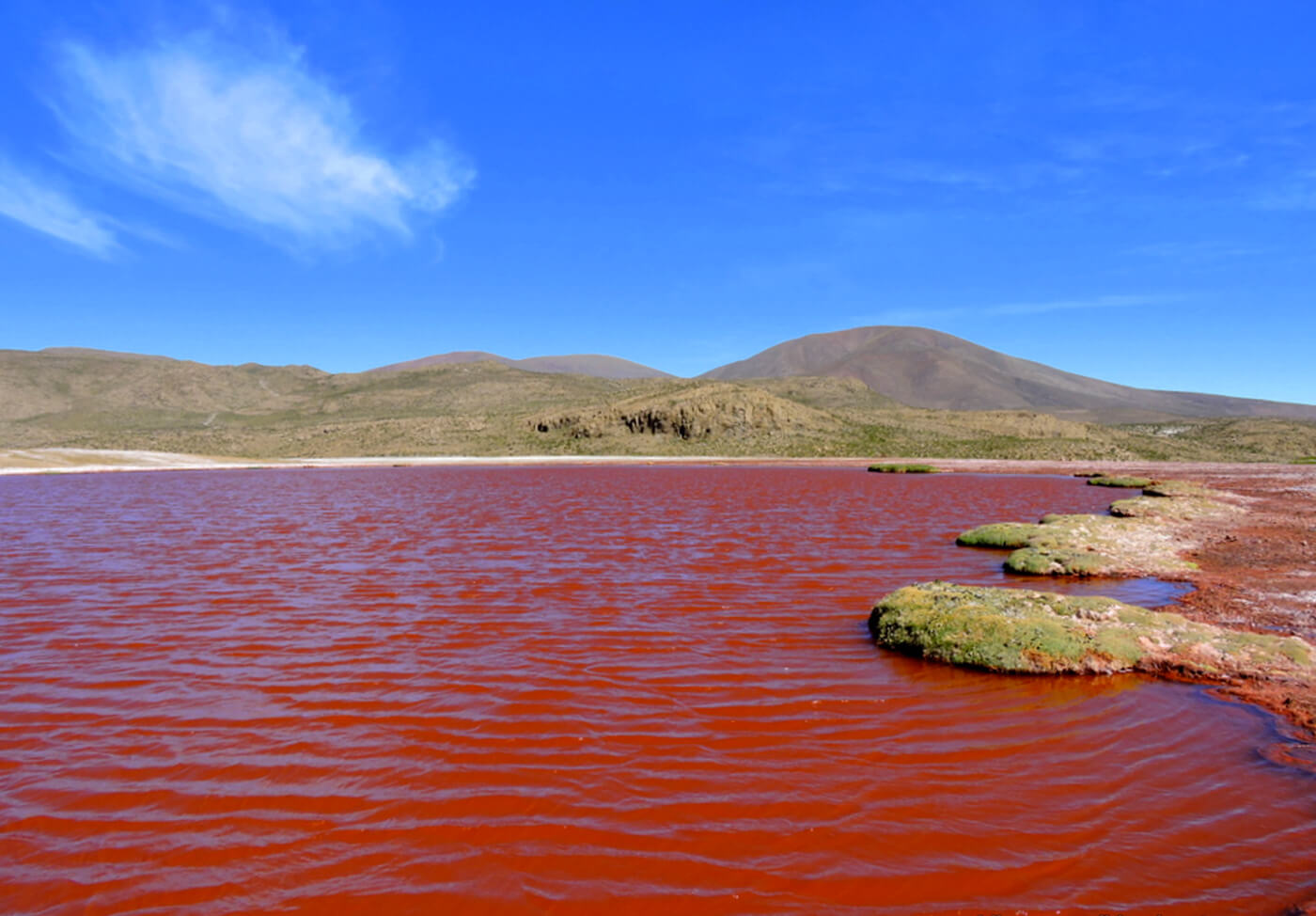 Laguna-Roja-Cile