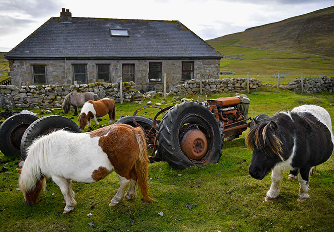 MyBestPlace - Foula Island, il regno dei MiniPony