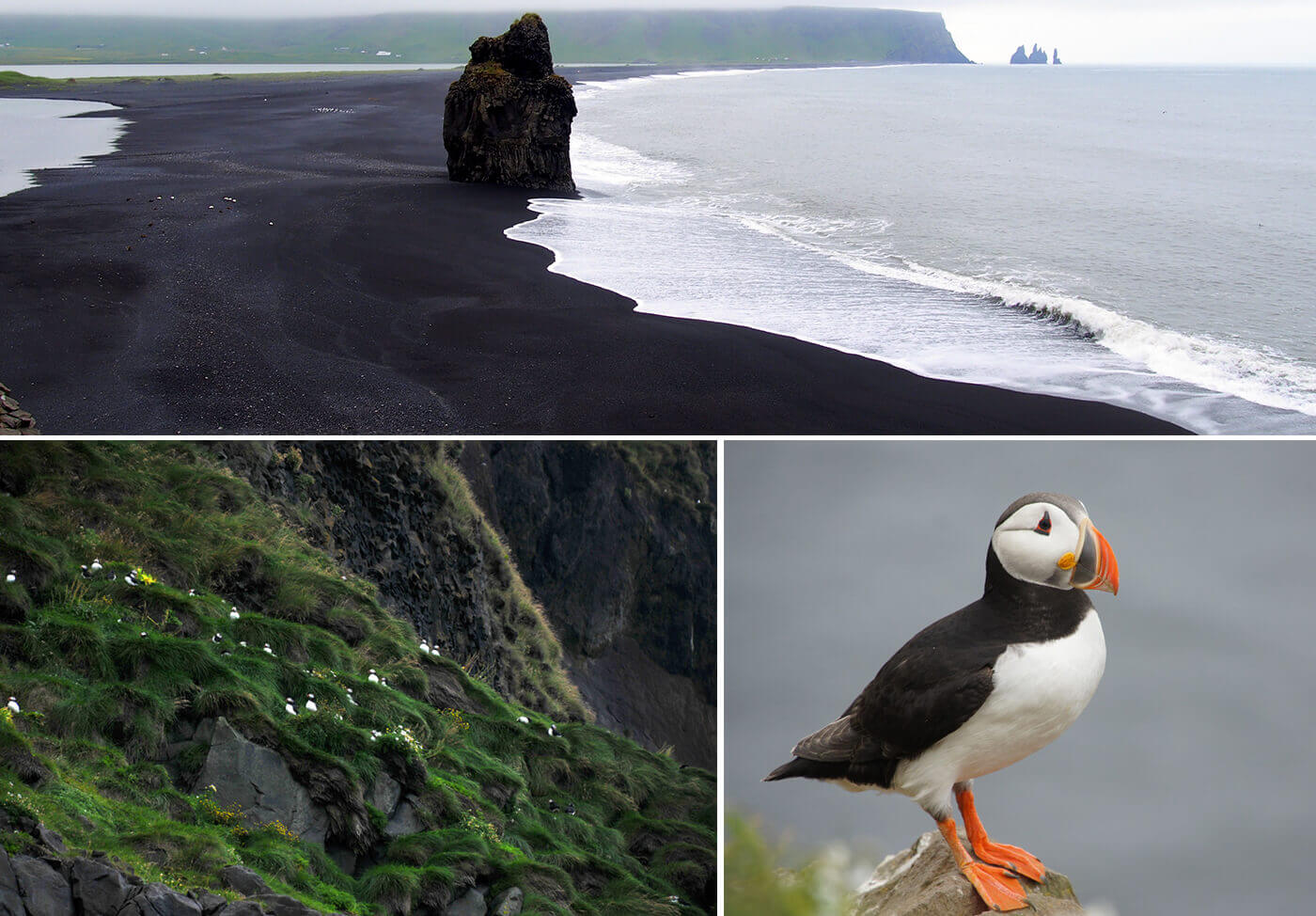 Reynisfjara, il fascino della spiaggia nera tra pericoli e leggende - I Was  Wandering