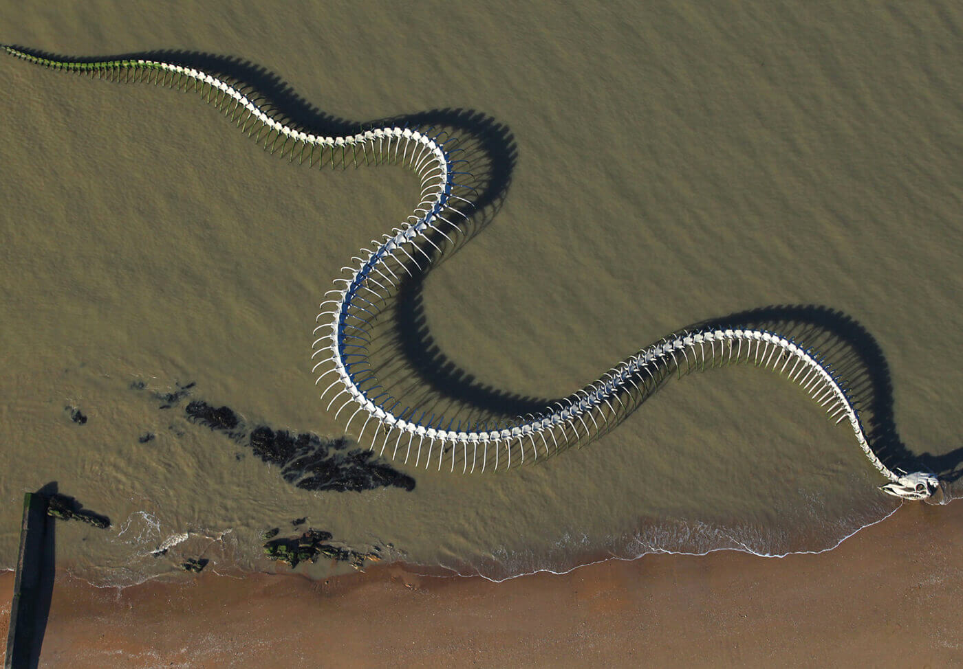 Serpent-d-Ocean-Francia