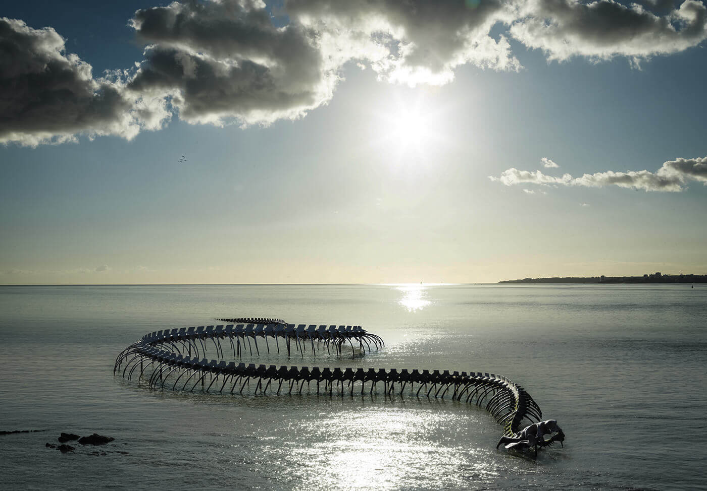 GIANT SNAKE SKELETON IN THE SEA OF FRANCE #Shorts 