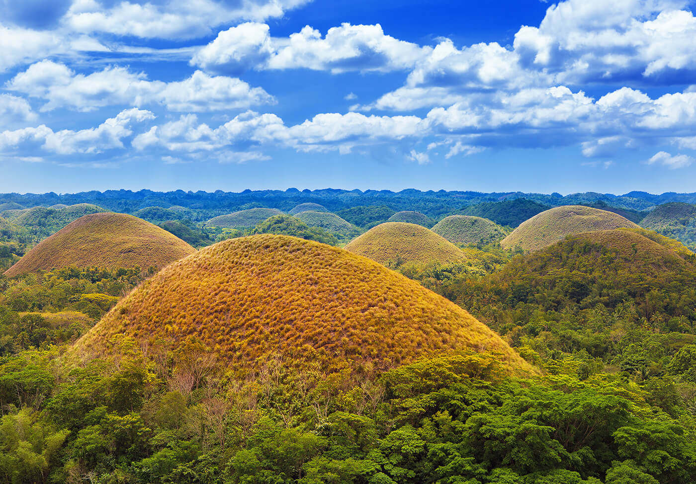 The Chocolate Hills of Bohol, Philippines - Times of India Travel