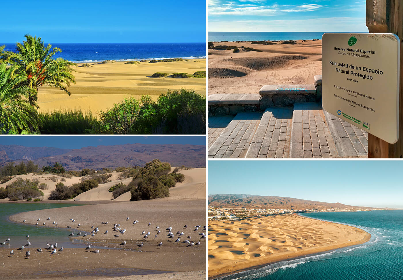 Duna Beach Maspalomas Gran Canaria