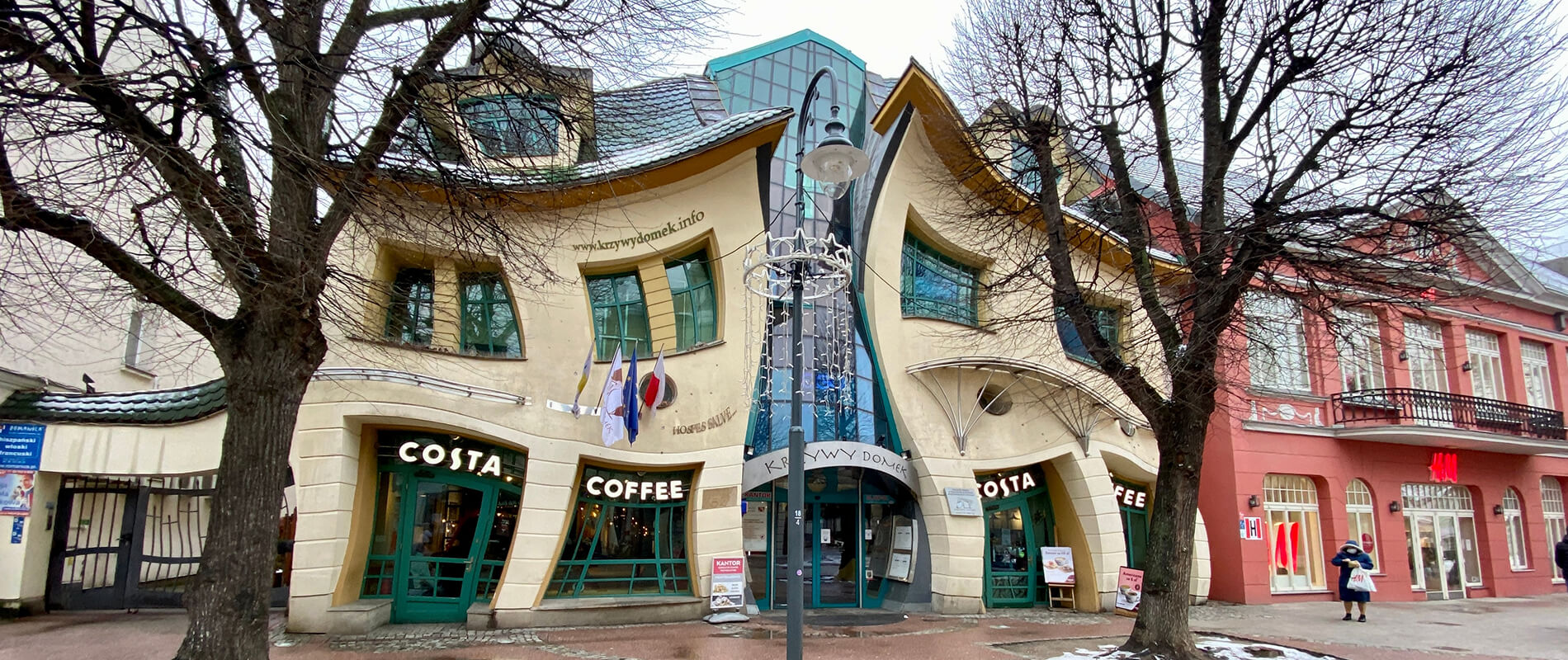 become-a-friend-of-the-crooked-house-the-crooked-house