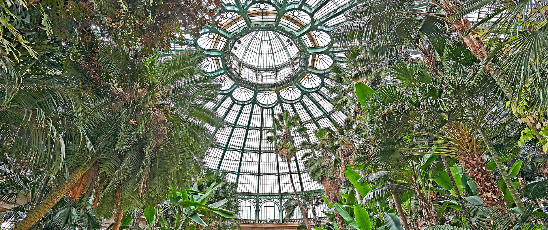 The Royal Greenhouses of Laeken, the wonder gardens of Brussels