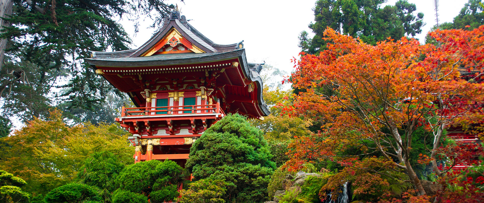 Japanese Tea Garden, il giardino segreto di San Francisco
