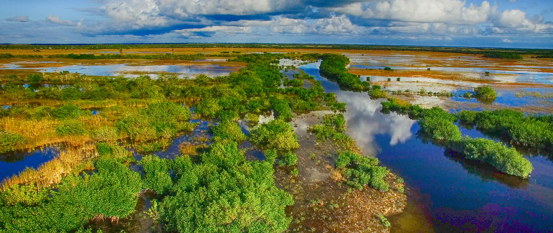 Everglades National Park, Florida